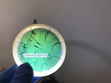 سعر جيد 2 بوصة 6H-N كربيد السيليكون رقاقة نوع MPD 50cm 330um كربيد رقائق سبائك الانترنت